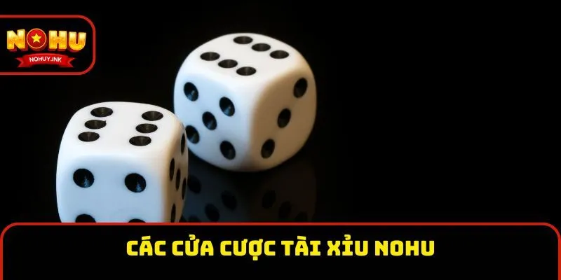 Các cửa cược tài xỉu Nohu Các cửa cược tài xỉu Nohu